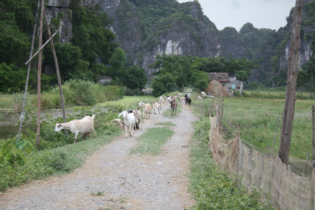Ninh Binh Valley Homestay Exterior foto